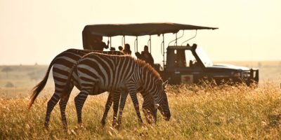 kenya-safaris-epc-game